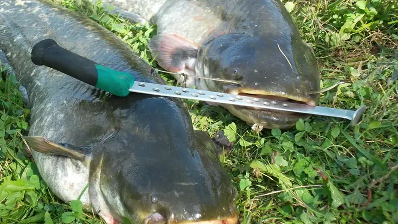 Control the Drift and Respond to the Fish