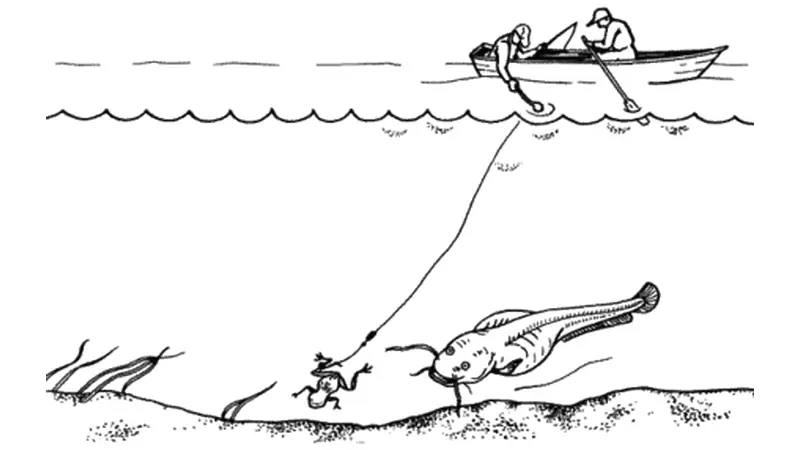 When to Target Catfish with a Clonk