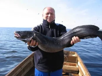 Building the Ultimate Burbot Bottom Rig