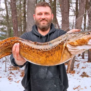 Locating Burbot: Finding the "Burbot Highways"