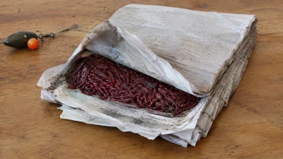 Storing Bloodworms in Newspaper