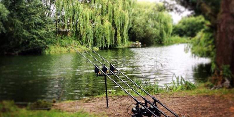 How to Choose a Carp Rod