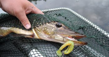 Pike Fishing Tackle