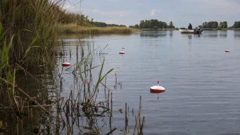 Traditional Floating Pike Discs