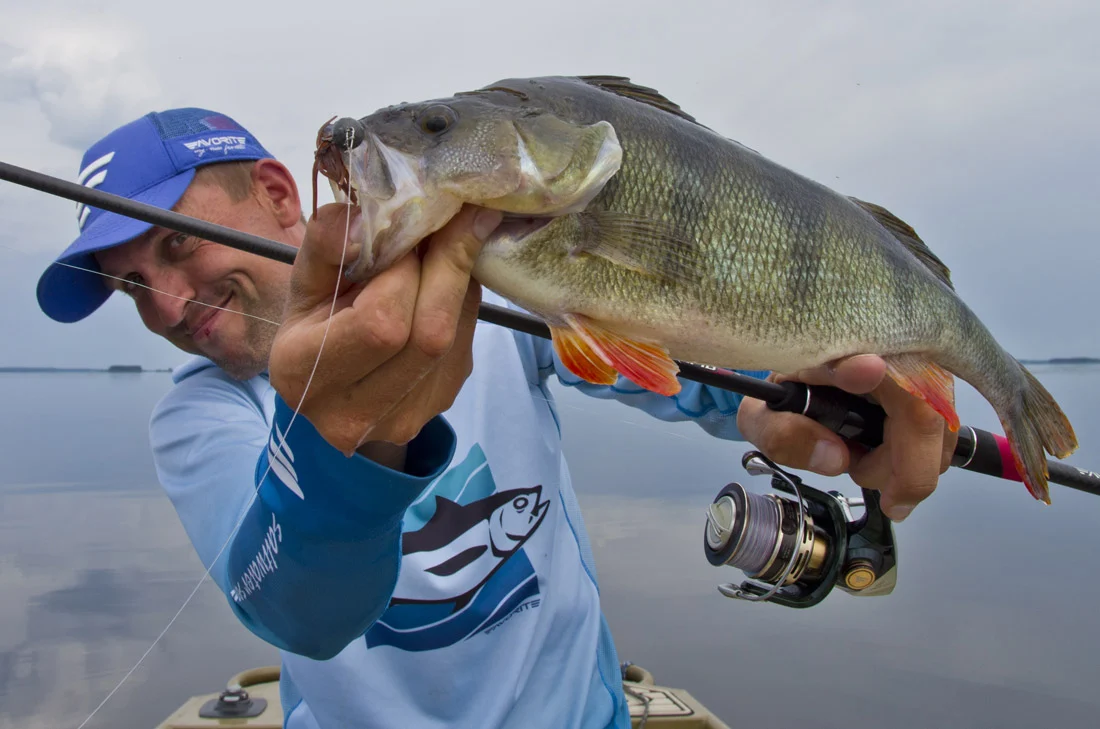 Tackle and Lures for Autumn Perch