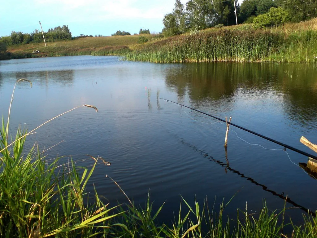 Tackle and Lures for Autumn Perch