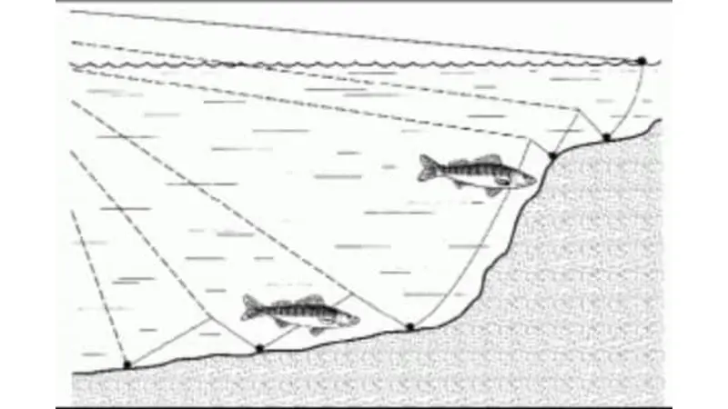 Work the Lure Where the Fish Are Feeding