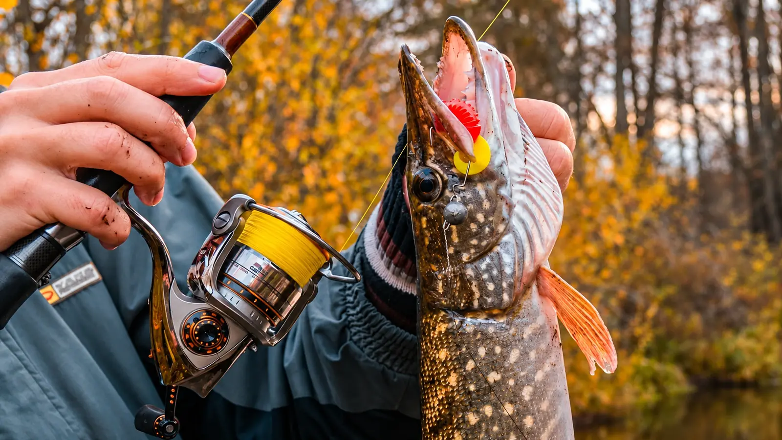 November Pike Fishing: Best Lures, Locations & Spinning Tips