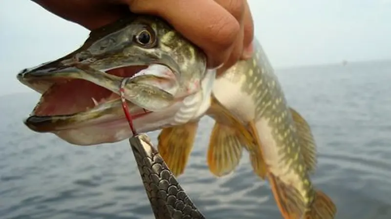 Get the Depth and Retrieve Working Together
