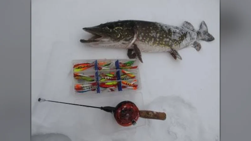 Common Mistakes That Cost December Pike