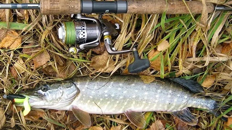 Match the Tackle to the Complete Lure