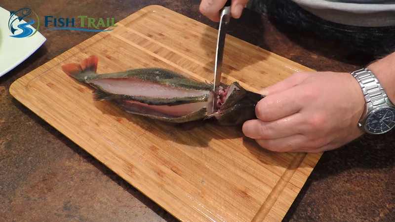 Cut Through the Backbone Behind the Head