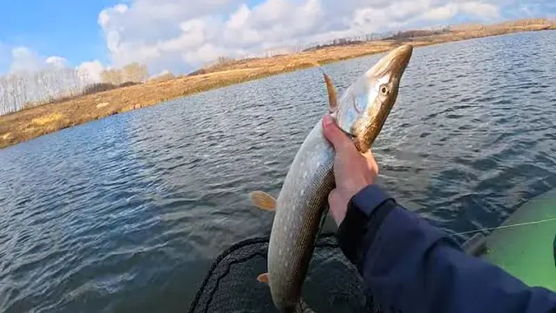Rivers: look for shelter with food nearby