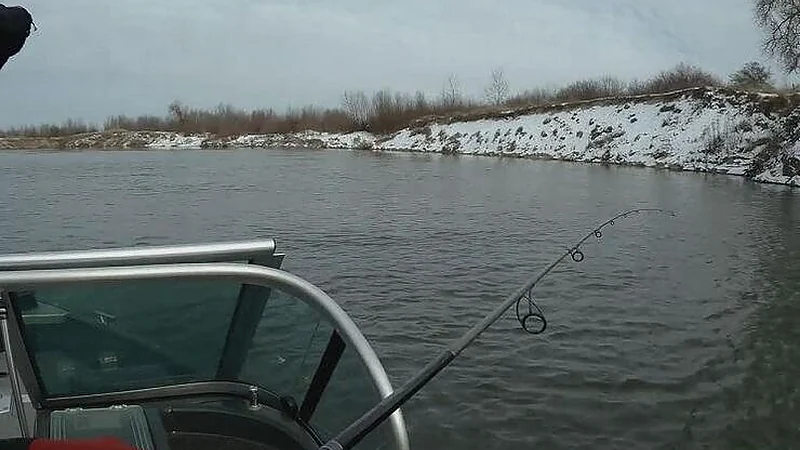 Where to Find Pike in December