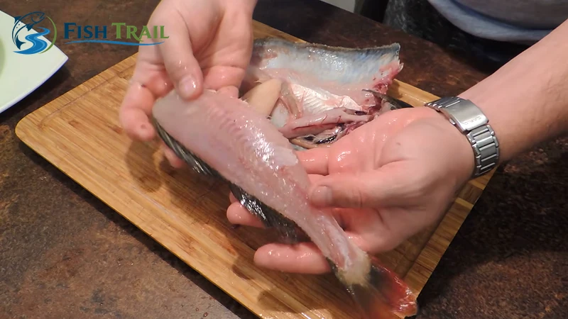 Lift the Body Clear of the Skin and Organs