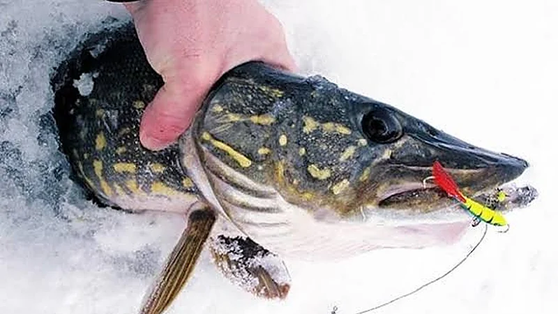 Balancing Jigs and Winter Spoons