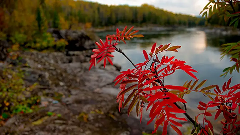 Lakes and reservoirs: follow the edges before the deepest water