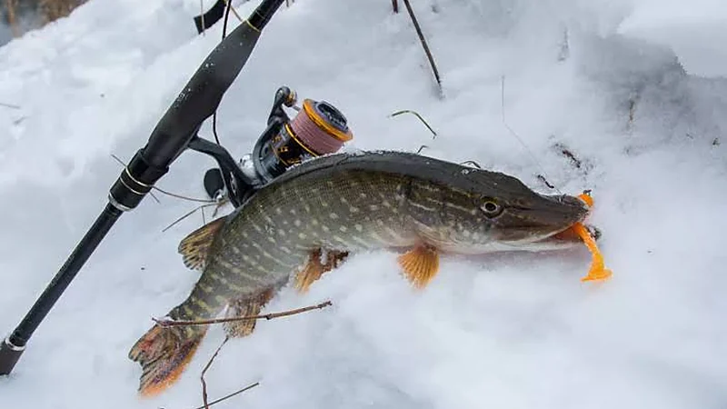 What Changes for Pike in December