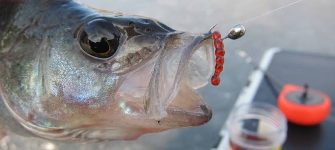 how-to-tie-a-mormyshka-to-fishing-line