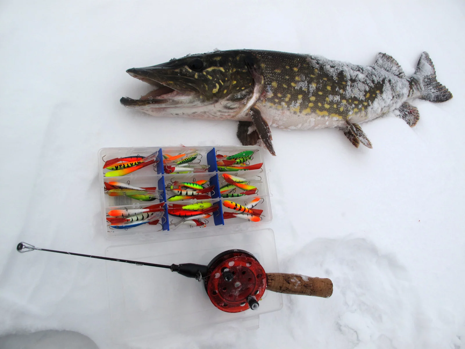 Ice Fishing for Pike: Tip-Ups, Lures and Winter Locations