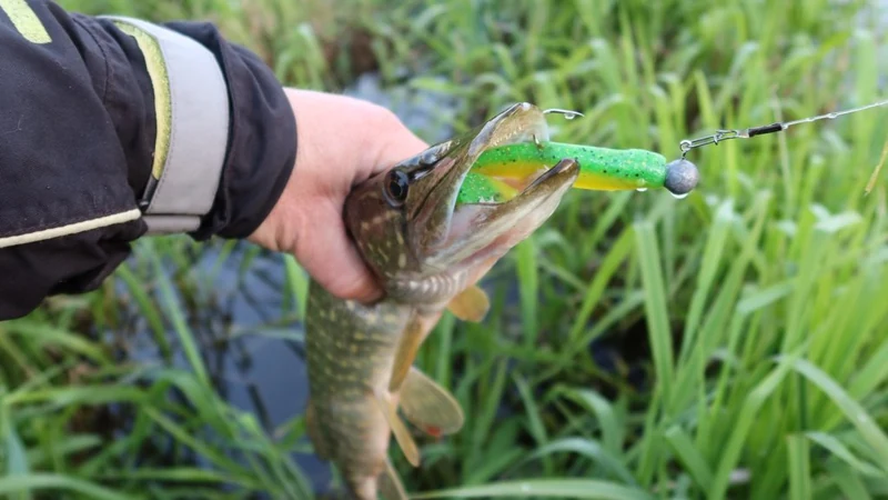 Getting More from the Lures You Already Have