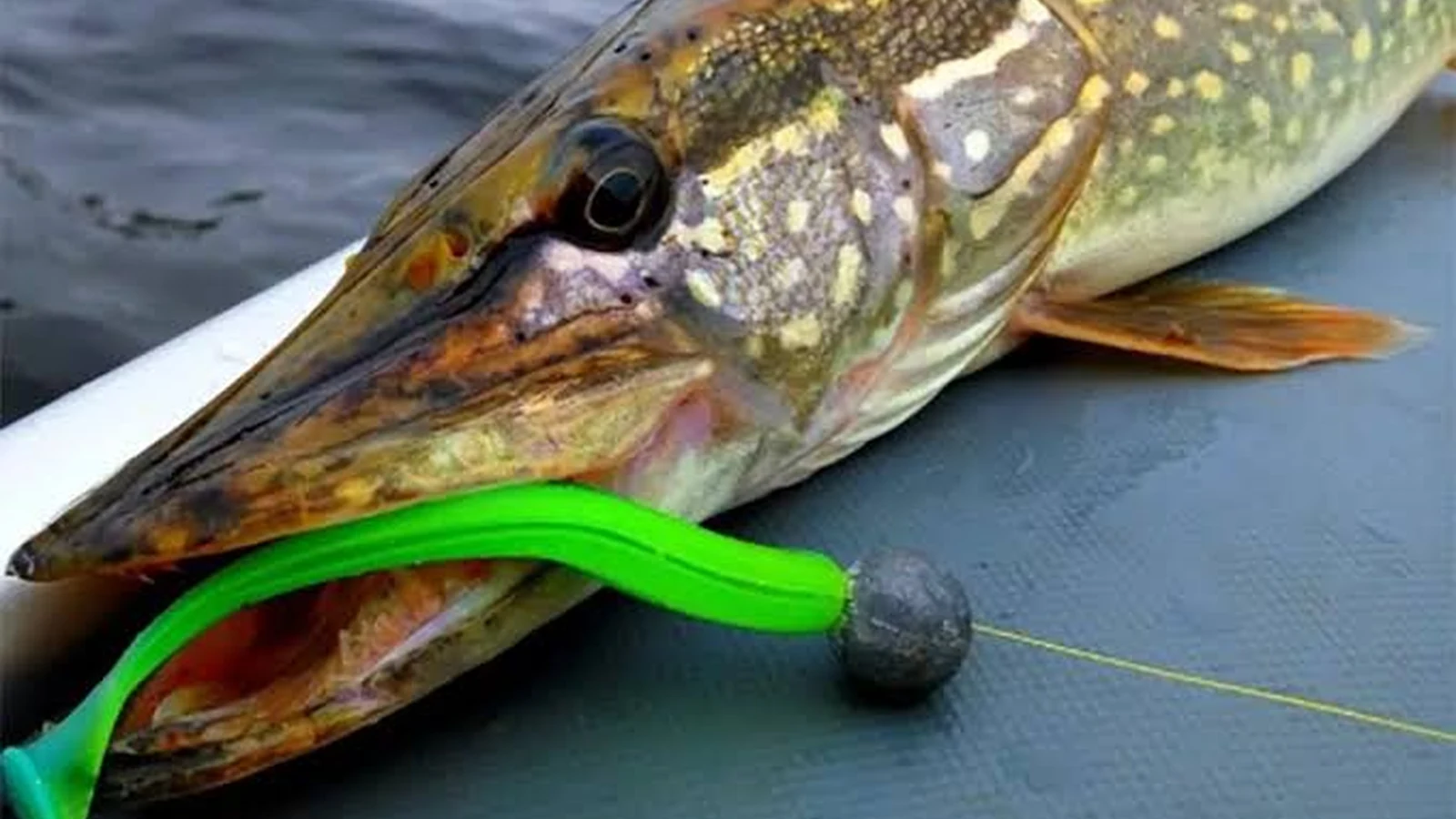 Best Scented Soft Baits for Pike: Our Top 10 Picks